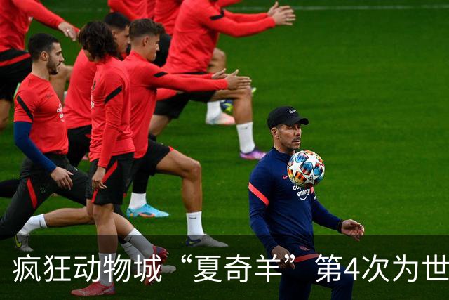 疯狂动物城“夏奇羊”第4次为世界杯开嗓，版税将全捐用于贫困儿童教育